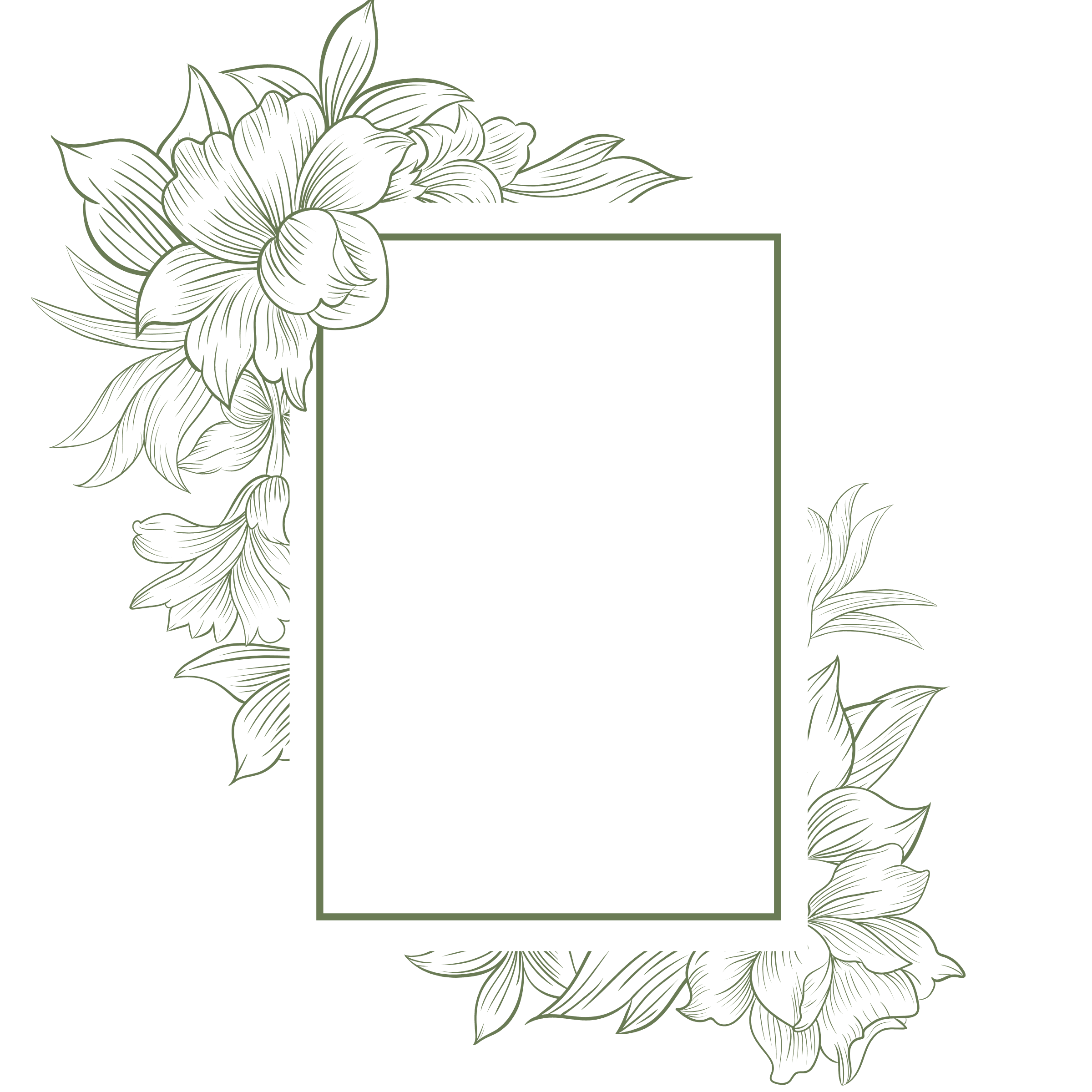 Info frame background